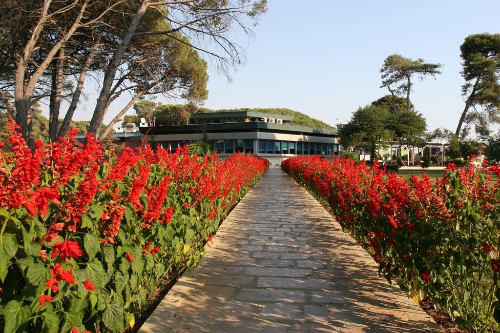Tropikal Bungalows Durrës Exterior foto
